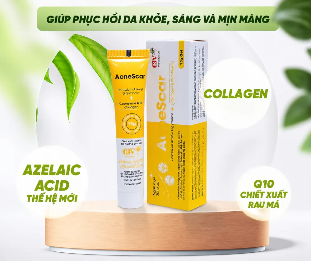 AcneScar Gel Giảm Thâm – Phục Hồi Da Sau Mụn Hỗ Trợ Da Mụn, Da Thâm Mụn, Sẹo Do Mụn